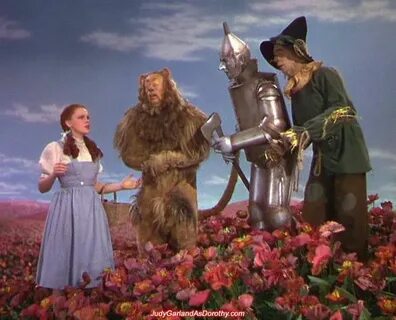 Pin by Kellie Lewis on "Wizard of Oz" Wizard of oz, The wond