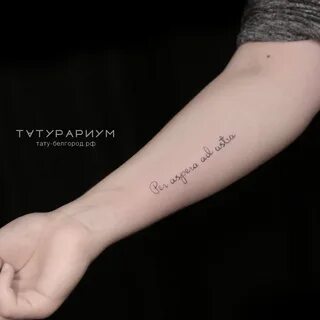 Татуировки надписи для девушек в Белгороде тату салон ТАТУРА