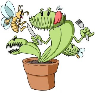 Venus flytrap 🌈 How Do Venus Flytraps Reproduce?