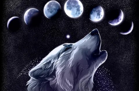 wolf - Google Search Wolf art, Wolf howling at moon, Wolf wa