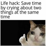 now you have extra time Thumbs Up Crying Cat Know Your Meme