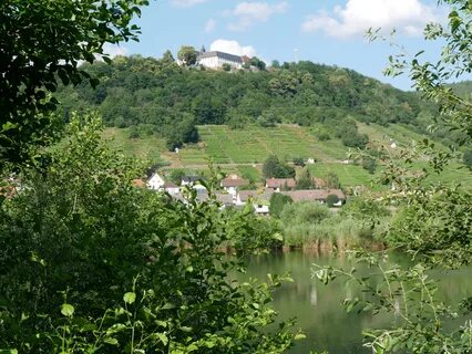 File:Blick zum Kloster Engelberg über das Biotop Mainaue in 