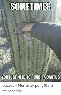 SOMETIMES Y YOUJUSTNEED TO PUNCH a CACTUS Cactus - Meme by P