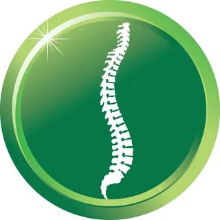 Chiropractic Spine Png - Spine Health Clipart - Large Size P