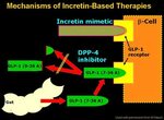 Practical Strategies for the Clinical Use of Incretin Mimeti