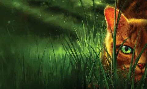 Warrior Cats Wallpapers - 4k, HD Warrior Cats Backgrounds on