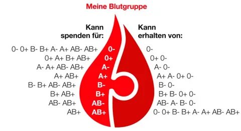 Was ist die seltenste blutgruppe? Blutgruppen: A, B, AB, 0, 