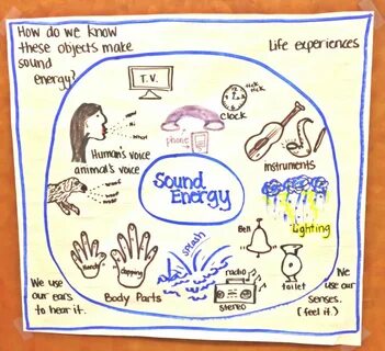Pin by Lisa Tran on Teach-me First grade science, Circle map