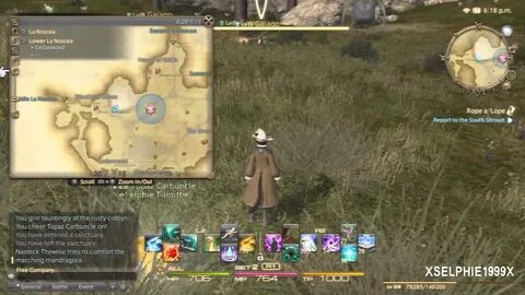 Final Fantasy XIV A Realm Reborn - Arcanist Hunting Log (Ran