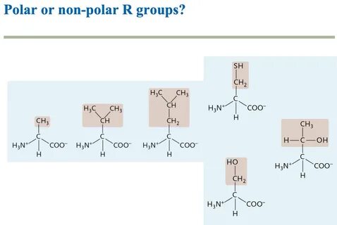 Solved Polar or non-polar R groups? SH CH₂ H3C CH3 CH N + Ch