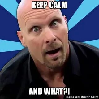 stone cold what meme - Google Search Wwe funny, Stone cold s