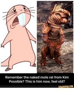 Remember the Naked Mole Rat From Kim Possible? This Is Him N