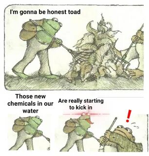Frog and toad Memes