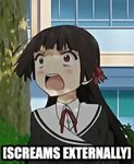 Screaming External Anime GIF - Screaming External Anime Angr