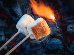National Toasted Marshmallow Day - Walter Thinnes