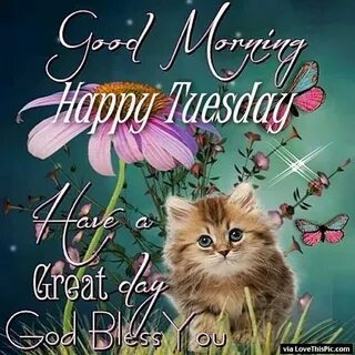 Good Morning Happy Tuesday Have A Great Day Pictures, Photos