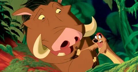 Hakuna matata! Real-life Timon and Pumbaa hang out