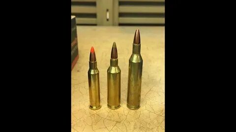 17 hornet vs 17 rem fireball vs 17 remington (including slow