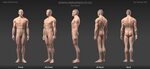 Male body reference by Yeshua-Nel Adult 3D CGSociety