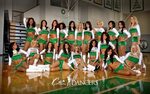Boston Celtics 2011-2012 season beautiful Dancers Wallpapers