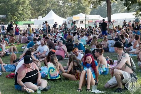 Bonnaroo 2015 Photos Nashville Guru