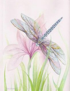 Dragonfly painting, Watercolor dragonfly, Dragonfly art