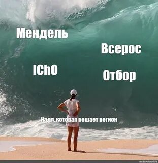 Meme: "Мендель Всерос IChO Отбор Надя, которая решает регион