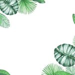 Download Green Border Leaf Texture Fresh Free Clipart HD Cli