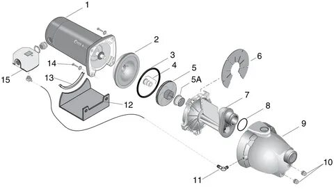 Sta Rite Pump Parts Diagram - Wiring Site Resource