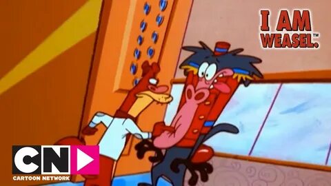 I Are Bellhop I Am Weasel Cartoon Network - YouTube