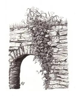 Ivy on Stone Wall, Ink Drawing Ivy on Stone Wall Pen and I. 