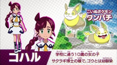 Pocket Monsters News Flash revealed more information about the characters a...