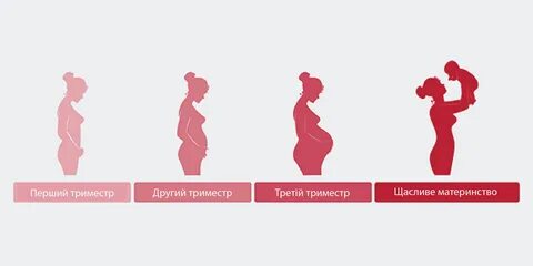 Спостереження за вагітними