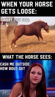 Cash me outside how bout dat Funny picture quotes, Really fu