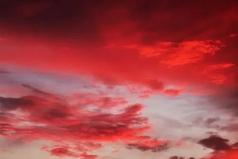480x800px free download HD wallpaper: sky, sunset, dusk, pan