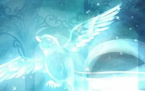 Magpie (Patronus) Wiki Harry Potter Amino