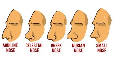 Roman Nose Profile - Floss Papers