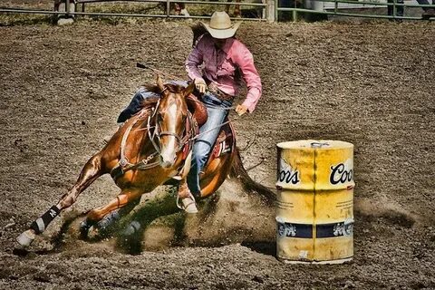 Within My Focus Barrel racing photos, Bull riders, Barrel ra