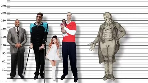8 feet about giants height comparison of the tallest humans 