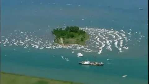 Gull Island Lake St Clair Map / Man Injured In Fall Off Boat