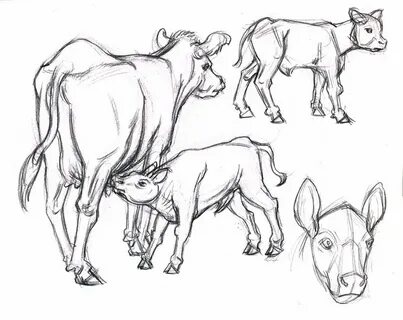 Mom & Baby cattle drawings - Gary Geraths Animal drawings, A