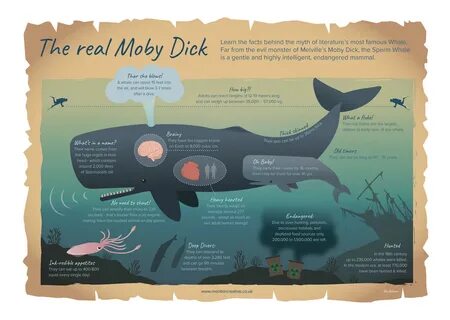 Moby dick descends