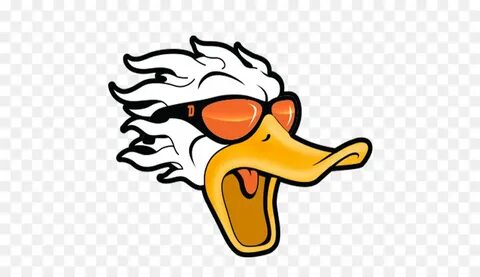 Duck Cartoon png download - 512*512 - Free Transparent Duck 