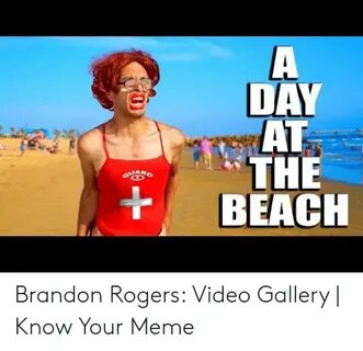 🐣 25+ Best Memes About Brandon Rogers Memes Brandon Rogers M