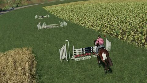 FS19 Obstacles Horse sport v1.0.0.0 - Farming Simulator 17 m