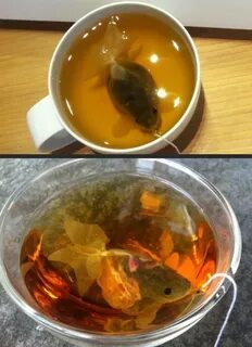 Charmvilla Goldfish Tea Bag One Single Handcrafted Organic T