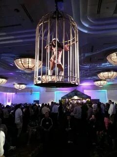 Aerial Dance Cage Cage dance, Disco night, Cage dancer