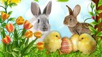 Easter Desktop Wallpaper (69+ images)