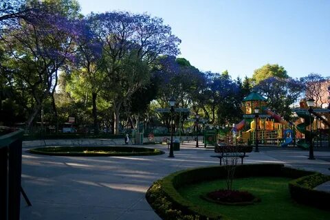 Un jardín de arte en la Del Valle, el parque Tlacoquemécatl