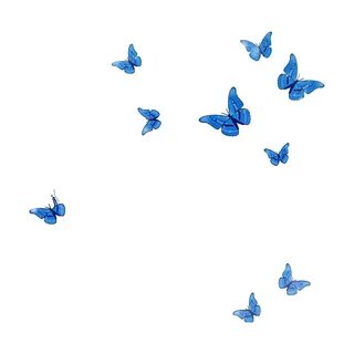 mq blue butterfly animal flying sticker by @qoutesforlife